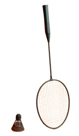 Badminton